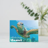 Aloha van Hawaii Honu Groene Zee Schildpad Briefkaart (Staand voorkant)