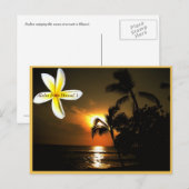 Aloha van Hawaii Plumeria Sunset Briefkaart (Voorkant / Achterkant)