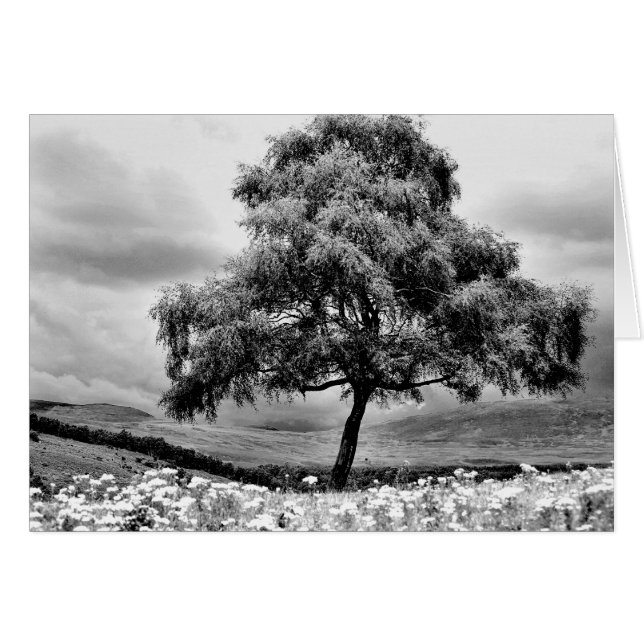 Alone (Voorkant Horizontaal)