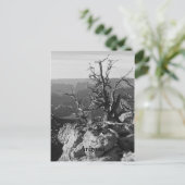 Alone in Arizona Briefkaart (Staand voorkant)