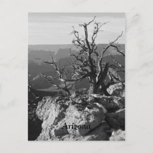 Alone in Arizona Briefkaart