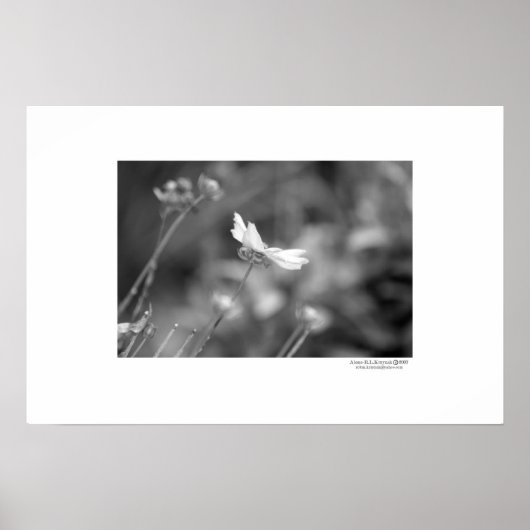 Alone Poster (Voorkant)