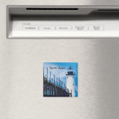 Along Manistee Magneet (Insitu (Vaatwasser))