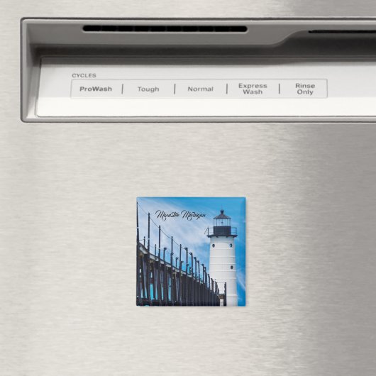 Along Manistee Magneet (Insitu (Vaatwasser))