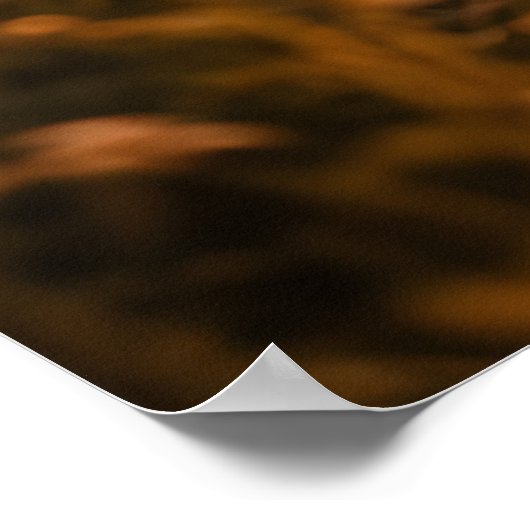 Along the Same Path Poster (Hoek)