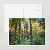 Along the way briefkaart (Voorkant / Achterkant)