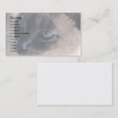 Aloof Siamese Carte de visite de chats (Devant / Derrière)