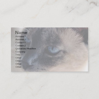Aloof Siamese Carte de visite de chats
