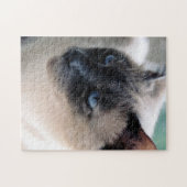 Aloof Siamese Cat Puzzle Legpuzzel (Horizontaal)