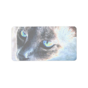 Aloof Siamese Cat Veranderd Label II