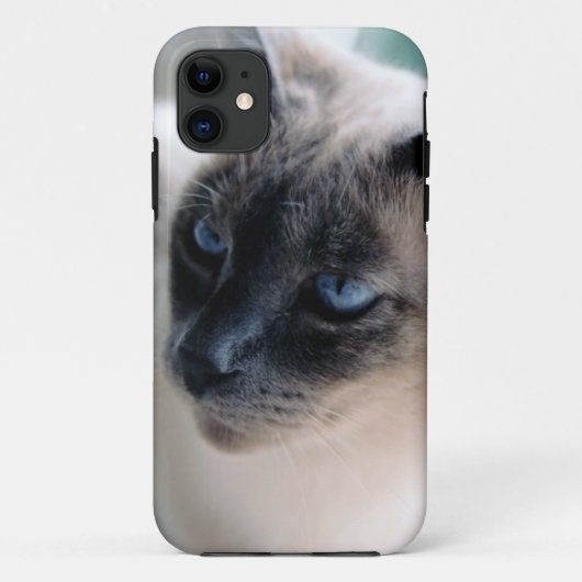 Aloof Siamese Chat Coque-Mate iPhone 5 Coque (Dos)