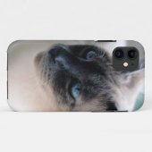 Aloof Siamese Chat Coque-Mate iPhone 5 Coque (Dos (Horizontal))