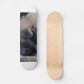 Aloof Siamese Chat Skateboard (Recto)