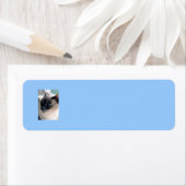 Aloof Siamese Étiquette de chats (En situation)