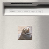Alors, Magnet Sucré ! (In Situ (Lave-vaisselle))