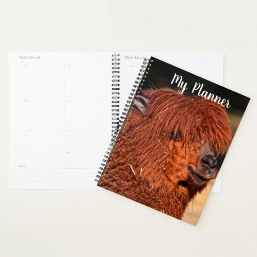 Alpaca (Devant avec enveloppe)