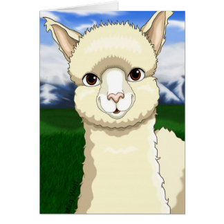  Alpaca