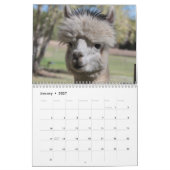 Alpaca 2021 Kalender (Jan 2027)