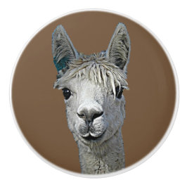 Alpaca Alpakka Alpaka Alpaga Keramische Knop