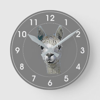 Alpaca Alpakka Alpaka Alpaga Ronde Klok