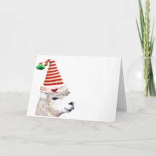 ALPACA AVEC NOËL CASQUETTE Carte NOËL