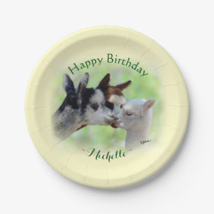 Alpaca Baby Birthday 7-inch Bord papier