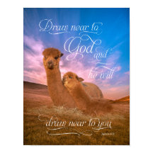 Alpaca Bijbelse Draw Near God Poster