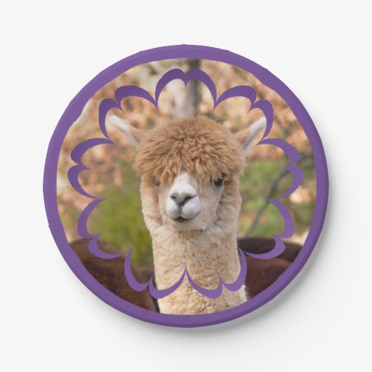Alpaca Birthday Bord 7-inch papier (Voorkant)
