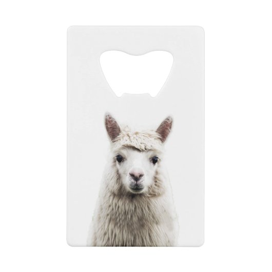 Alpaca blanc (Devant)