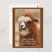 Alpaca briefkaart (Voorkant / Achterkant)
