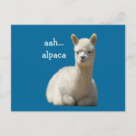 Alpaca-Briefkaarten Briefkaart
