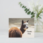 Alpaca bruin en wit foto dier dank u briefkaart (Staand voorkant)