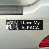 Alpaca Bumpersticker (Op auto)