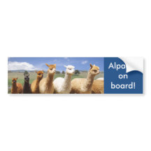 Alpaca Bumpersticker Alpacas aan boord