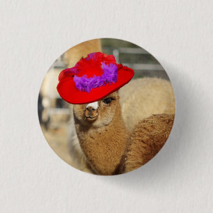 Alpaca Button