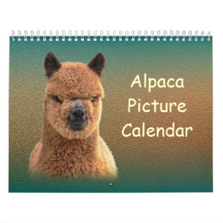 Alpaca Calendar 2023 Kalender