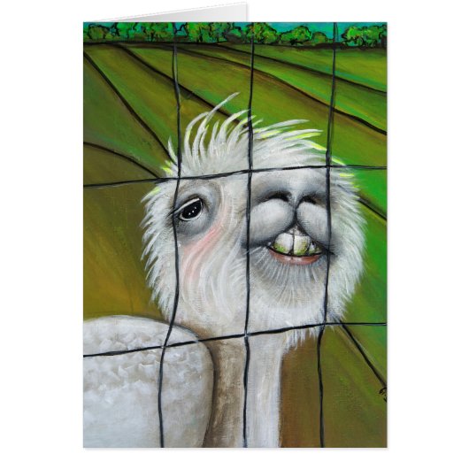 Alpaca - Carte de note Little Dreamer (Devant)