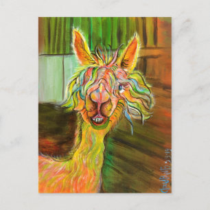 Alpaca - Carte postale Hilda