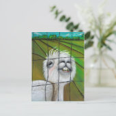 Alpaca - Carte postale Little Dreamer (Debout devant)