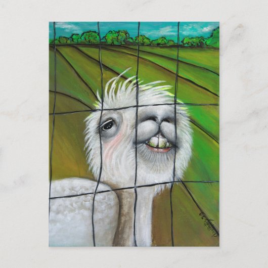 Alpaca - Carte postale Little Dreamer (Devant)
