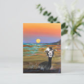 Alpaca - Carte postale Vincent (Debout devant)