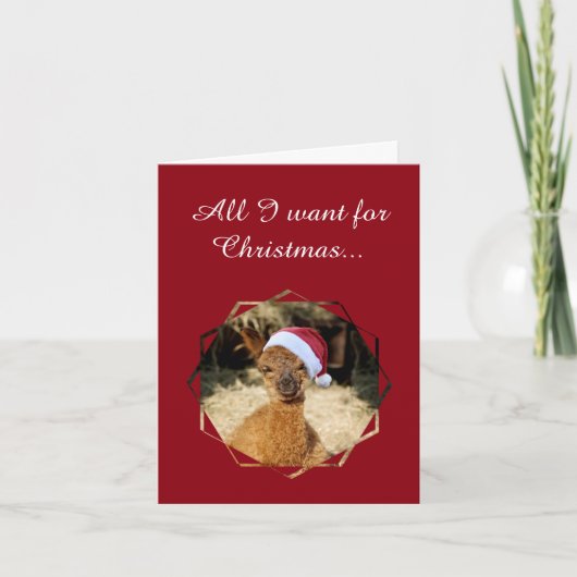 Alpaca Christmas Kaarten (Voorkant)