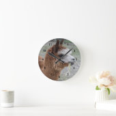 Alpaca Eating Hay Animal Foto Ronde Klok (Huis)