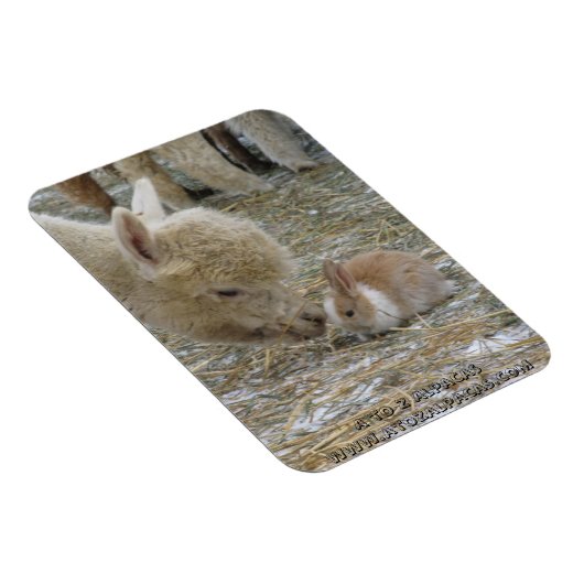 Alpaca en Bunny Kisses! Magneet (Rechterzijde)
