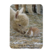 Alpaca en Bunny Kisses! Magneet (Verticaal)
