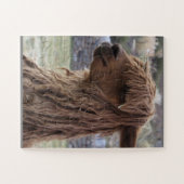 ALPACA FACILE JIGSAW PUZZLE (Horizontal)