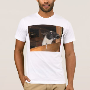 Alpaca geen lama t-shirt