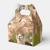 Alpaca geschenkdoos bedankdoosjes (Achterkant)