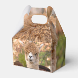 Alpaca geschenkdoos bedankdoosjes
