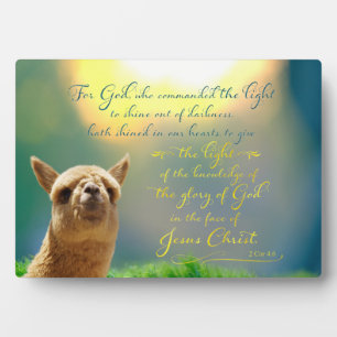 Alpaca Gold Blauwgroen Bijbel Citaat Easel Plaque Fotoplaat